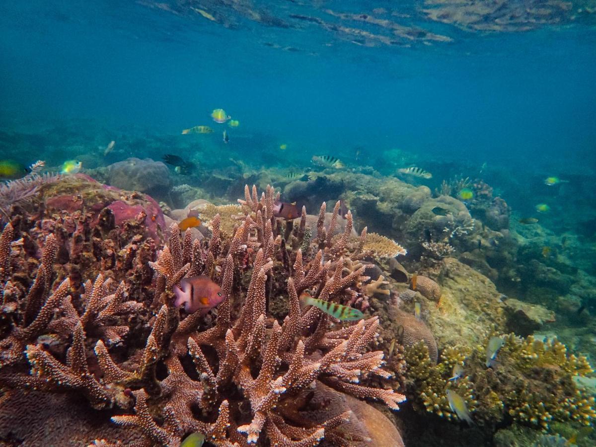 Tapokreng Raja Ampat Eco Lodge מראה חיצוני תמונה