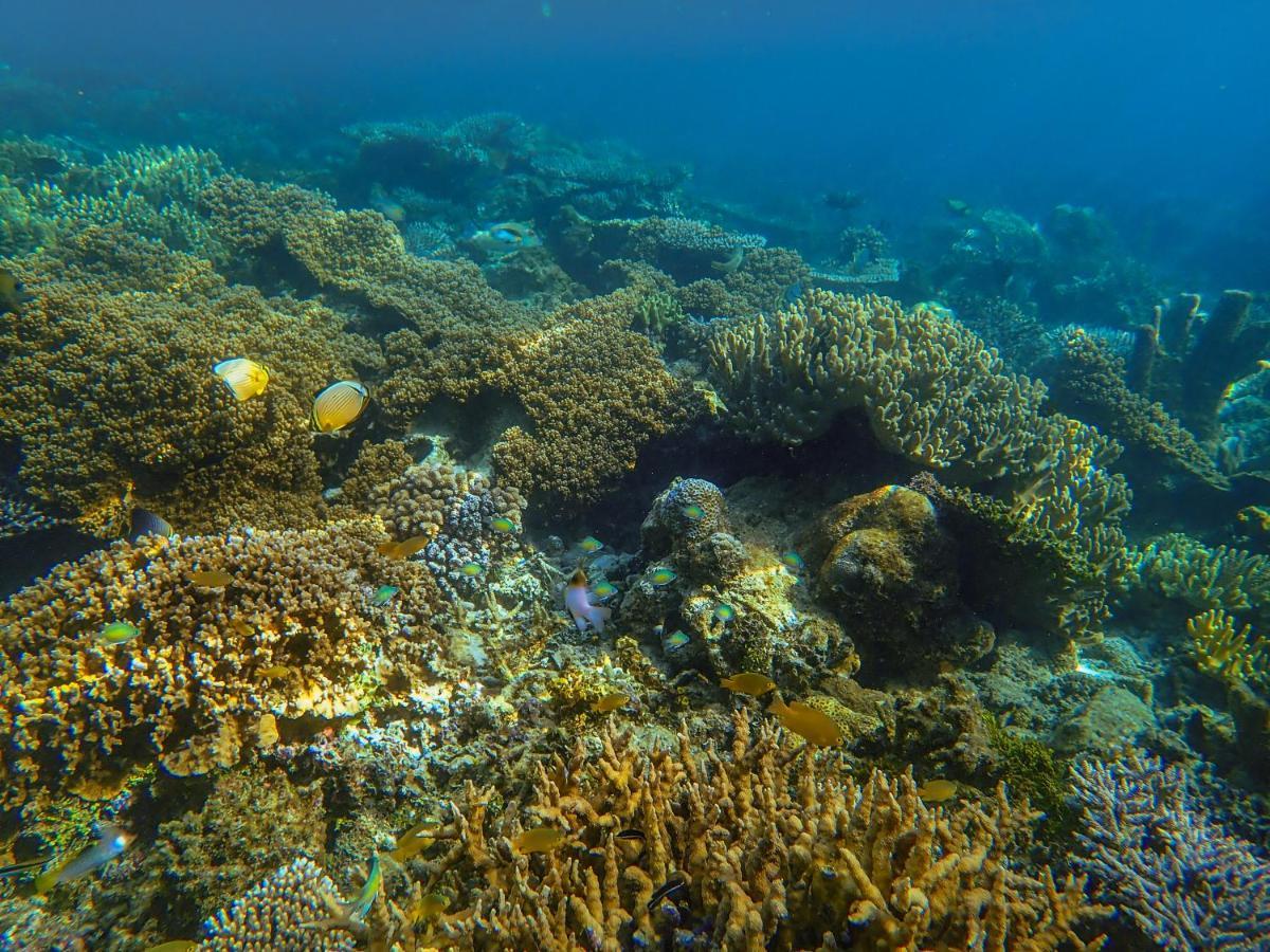Tapokreng Raja Ampat Eco Lodge מראה חיצוני תמונה