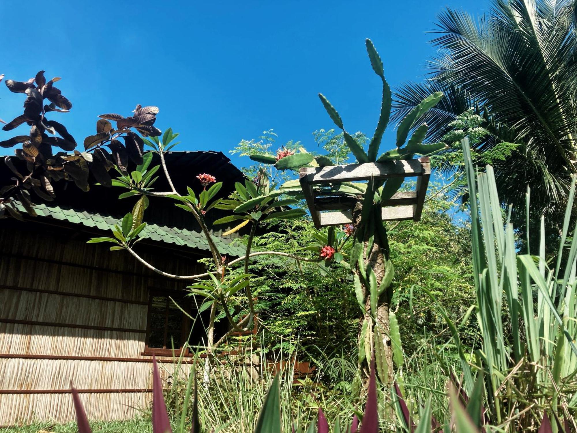 Tapokreng Raja Ampat Eco Lodge מראה חיצוני תמונה