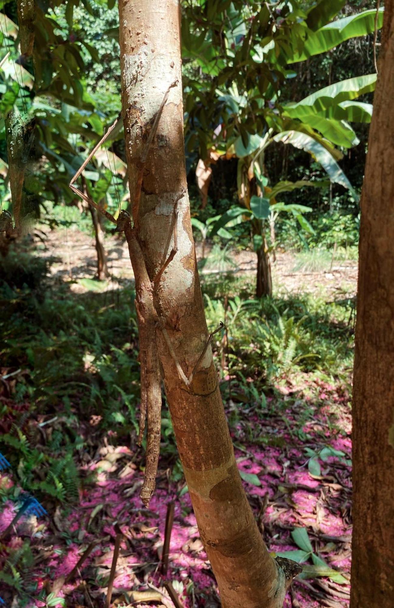 Tapokreng Raja Ampat Eco Lodge מראה חיצוני תמונה